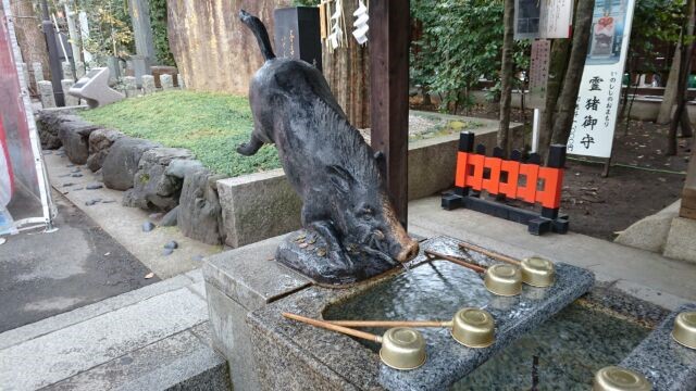 http://www.kyoto-musubi.com/blog/2019011102.jpg