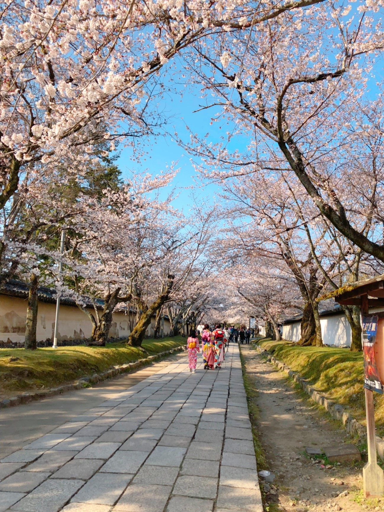 http://www.kyoto-musubi.com/blog/20190407033.jpg