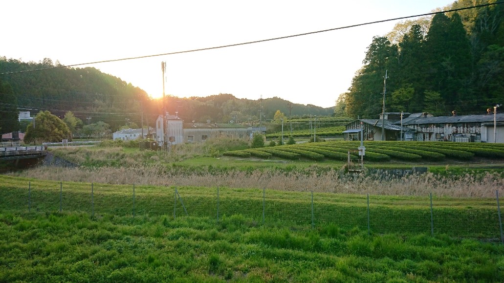 http://www.kyoto-musubi.com/blog/2019050706.jpg